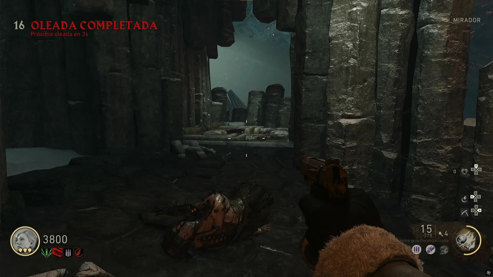 Piedra de cuervo colocada en la piscina del Mirador