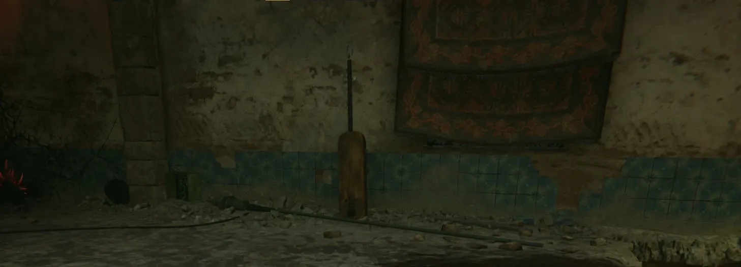 A Light from the Shore